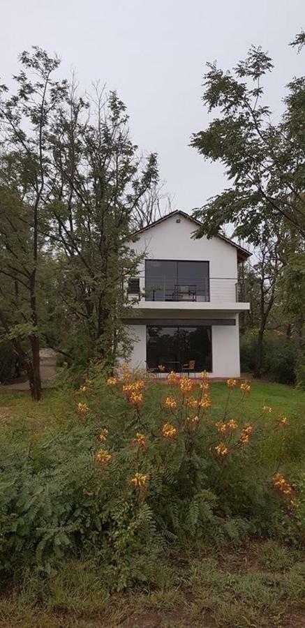 The Willows Guesthouse Bloemfontein Extérieur photo